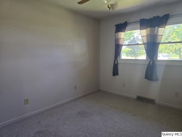 4341 E 400 Th St, Plymouth, IL 62367 - photo 11