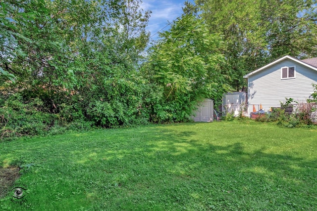 10730 S Ridgeland St, Worth, IL 60482 - view of green lawn with a shed