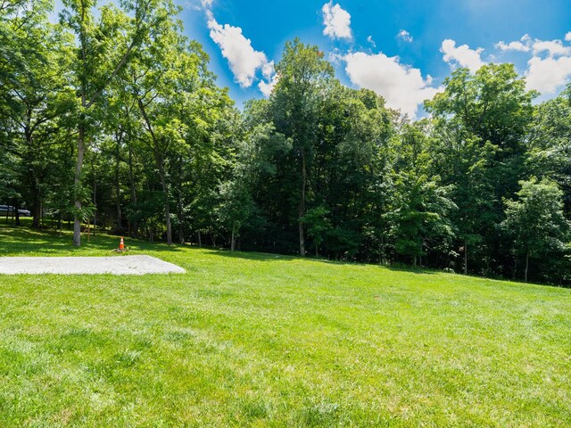 25 Greenbriar Rd, Mackinaw, IL 61755 - photo 51