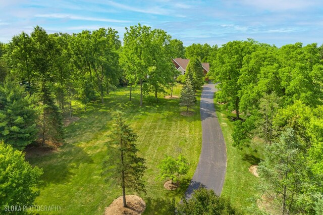422 W County Line Rd, Barrington Hills, IL 60010 - photo 61