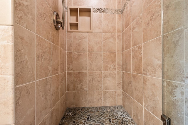 8648 Carriage Ln, Tinley Park, IL 60487 - bathroom view of tiled shower