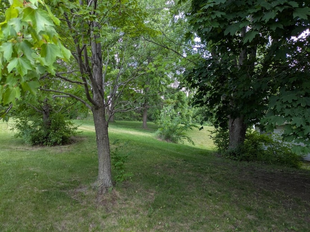8692 Glacier Dr, Byron, IL 61010 - photo 21