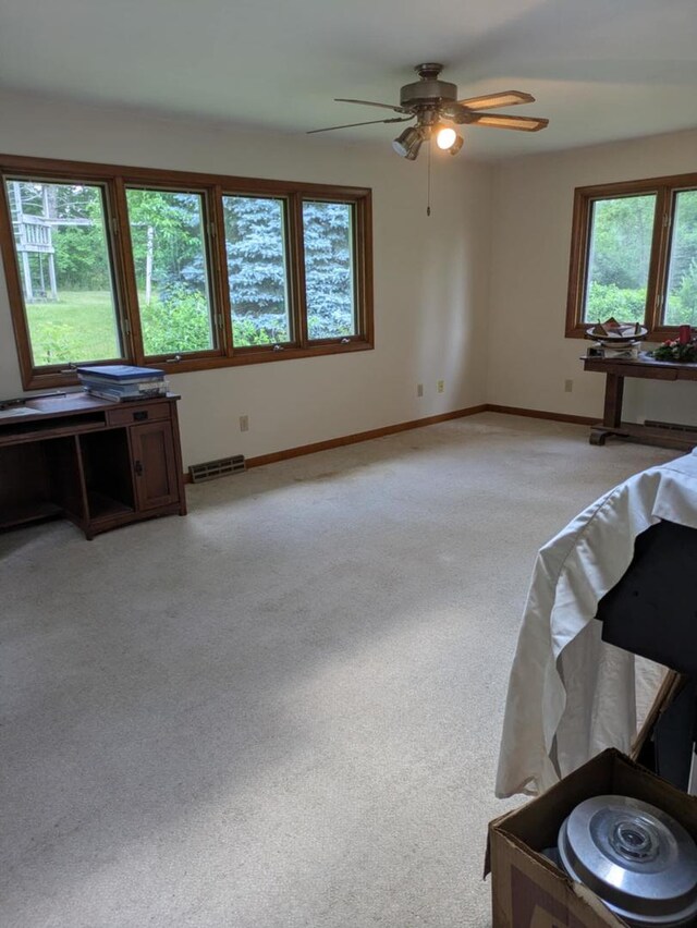 8692 Glacier Dr, Byron, IL 61010 - photo 10