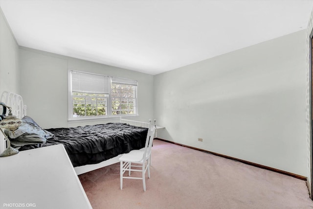 24341 W 103rd St, Naperville, IL 60564 - photo 19