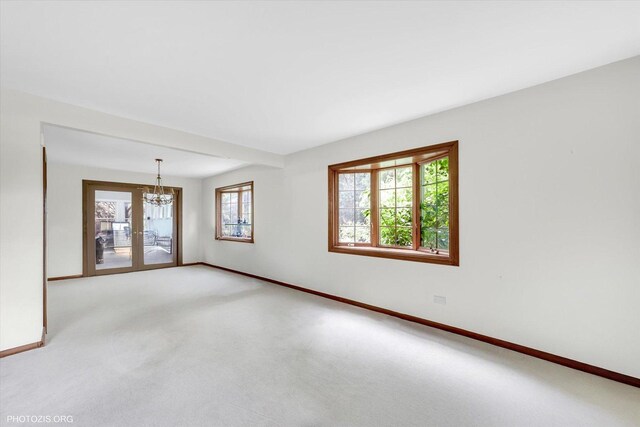 24341 W 103rd St, Naperville, IL 60564 - photo 26