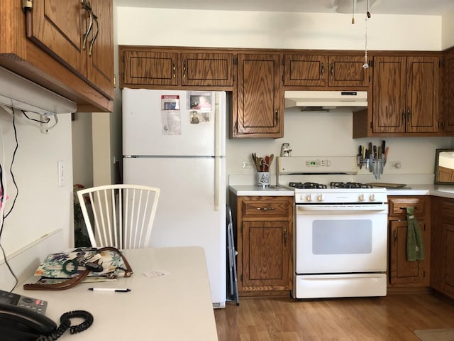 181 Saenz Ln Unit 181, Joliet, IL 60436 - kitchen with white appliances, under cabinet range hood, light countertops, and wood finished floors