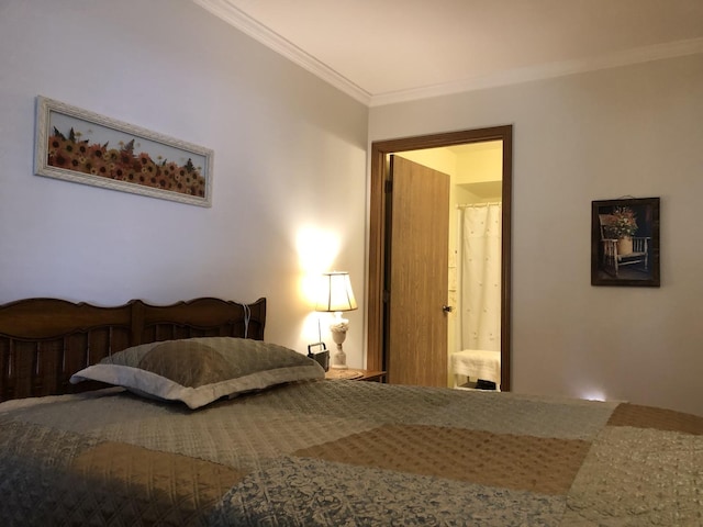 181 Saenz Ln Unit 181, Joliet, IL 60436 - bedroom featuring crown molding