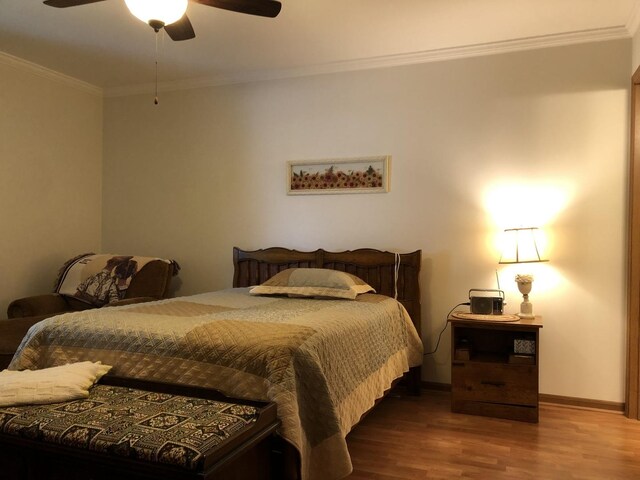 181 Saenz Ln Unit 181, Joliet, IL 60436 - bedroom featuring wood finished floors, ornamental molding, and a ceiling fan