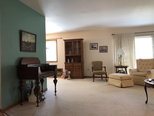181 Saenz Ln Unit 181, Joliet, IL 60436 - carpeted living room featuring baseboards