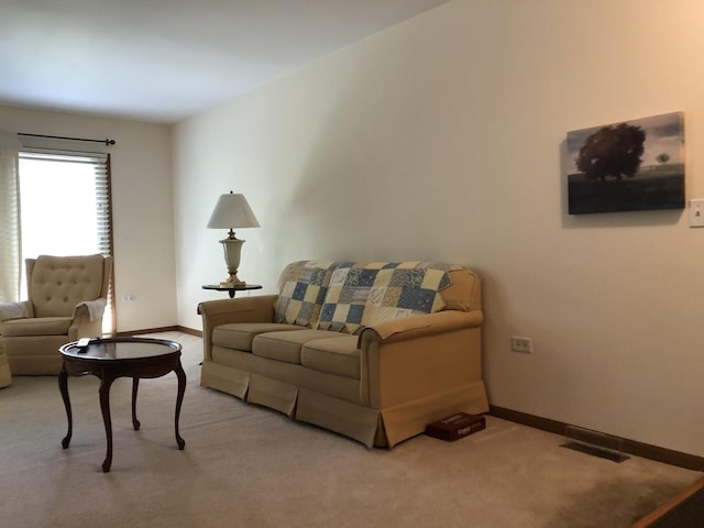 181 Saenz Ln Unit 181, Joliet, IL 60436 - living area with carpet and baseboards
