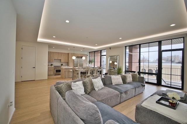 522 N Western Ave Unit 201, Chicago, IL 60612 - living room featuring a raised ceiling, recessed lighting, and light wood-style floors