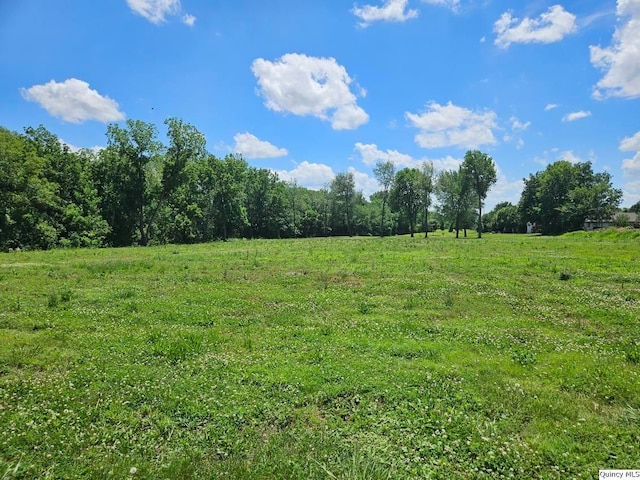 1700 Kochs Ln, Quincy, IL 62305 - photo 2