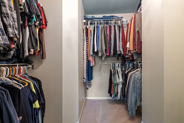 504 N Reef Rd, Lockport, IL 60441 - spacious closet featuring carpet flooring