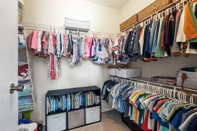 504 N Reef Rd, Lockport, IL 60441 - walk in closet featuring carpet