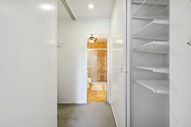 3150 N Lake Shore Dr Unit 8E, Chicago, IL 60657 - hall featuring carpet floors and baseboards