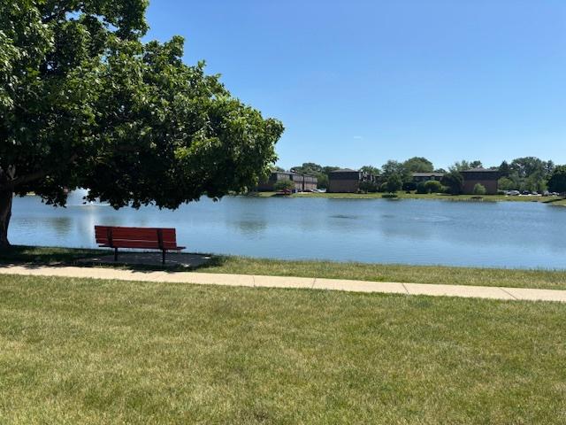9388 Bay Colony Dr Unit 1S, Des Plaines, IL 60016 - water view