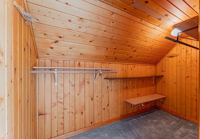 102 S Oak St, Arrowsmith, IL 61722 - spacious closet with lofted ceiling and dark carpet