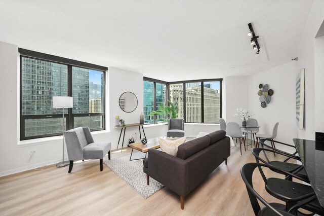 400 N Lasalle Dr Unit 2007, Chicago, IL 60654 - living area featuring light wood-type flooring and baseboards