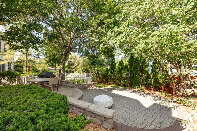 4037 Main St, Downers Grove, IL 60515 - view of patio