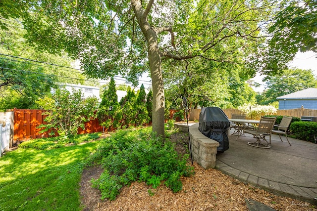 4037 Main St, Downers Grove, IL 60515 - fenced backyard with a patio