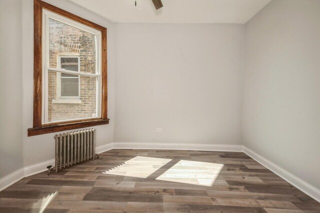 731 N Leamington Ave, Chicago, IL 60644 - photo 7