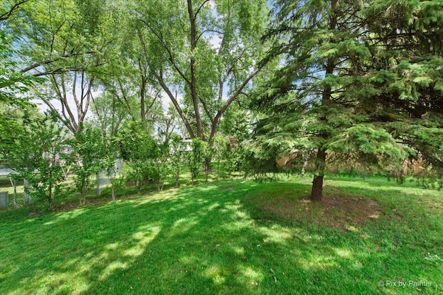 862 Arthur Dr, Elgin, IL 60120 - view of yard