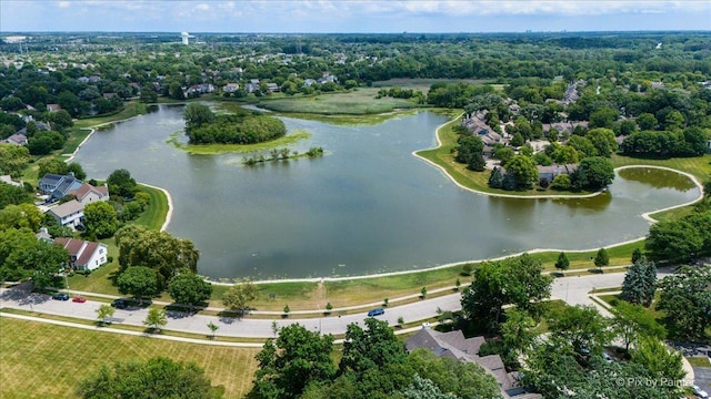 862 Arthur Dr, Elgin, IL 60120 - drone / aerial view of a nearby body of water