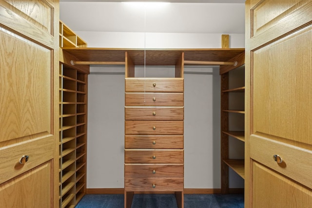2811 Haven Ct, Naperville, IL 60564 - walk in closet with carpet floors