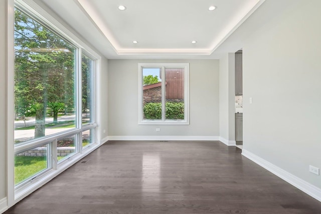 3933 Gloria Ct, Glenview, IL 60025 - spare room featuring dark wood-style floors, a tray ceiling, and recessed lighting