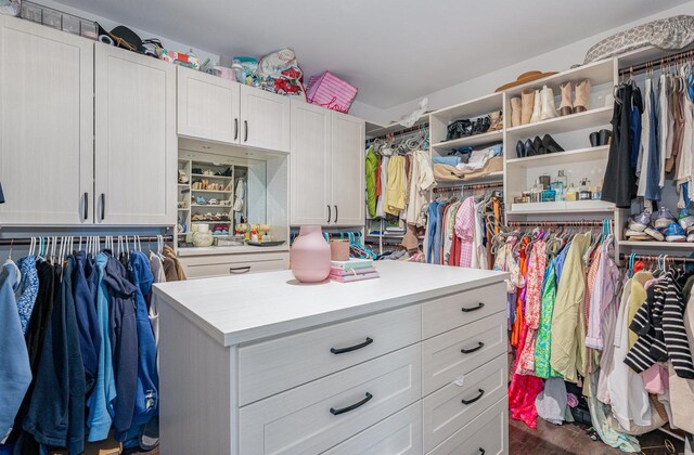 26 S Chestnut Ave, Arlington Heights, IL 60005 - spacious closet featuring wood finished floors