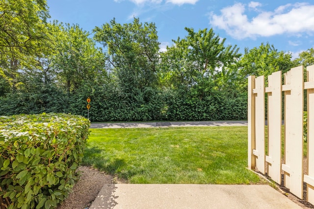 220 New Bridge Ct, Palatine, IL 60067 - photo 15