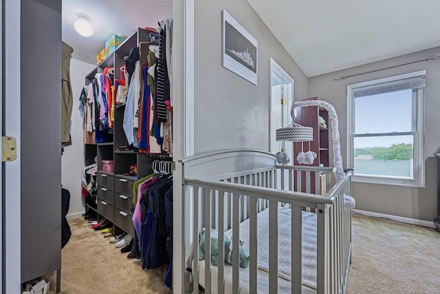 1021 Horizon Rdg, Lake In The Hills, IL 60156 - bedroom featuring carpet and lofted ceiling