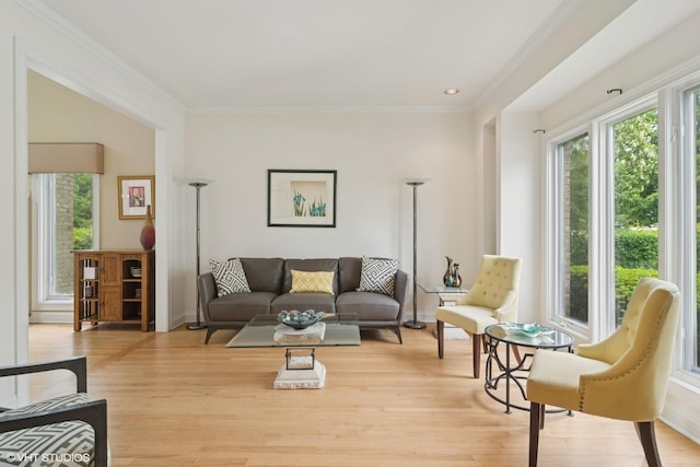 1580 W N St, Palatine, IL 60067 - living room with ornamental molding, light wood-style floors, and recessed lighting