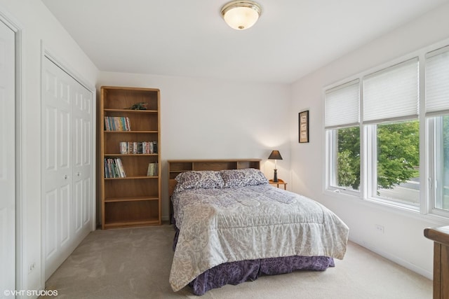 1580 W N St, Palatine, IL 60067 - bedroom featuring carpet and a closet