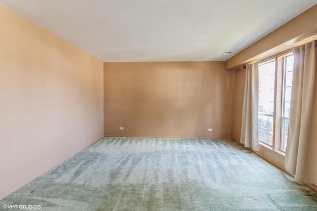 1335 Chelsea Cv, Roselle, IL 60172 - spare room featuring carpet floors