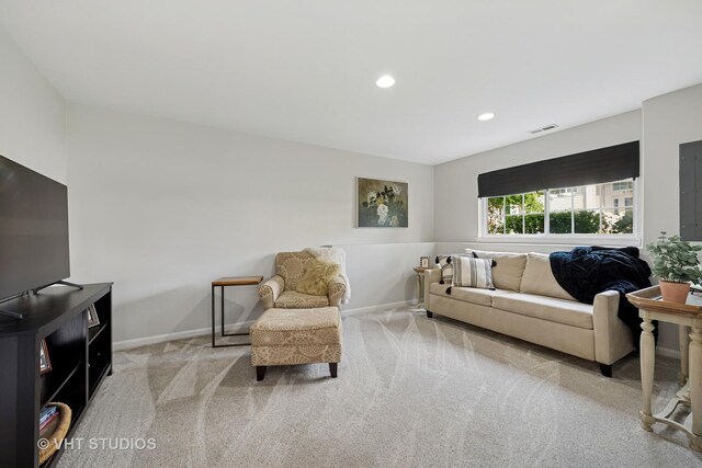 425 Cary Woods Cir, Cary, IL 60013 - photo 23