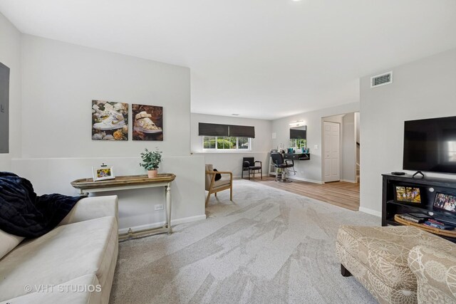 425 Cary Woods Cir, Cary, IL 60013 - photo 24