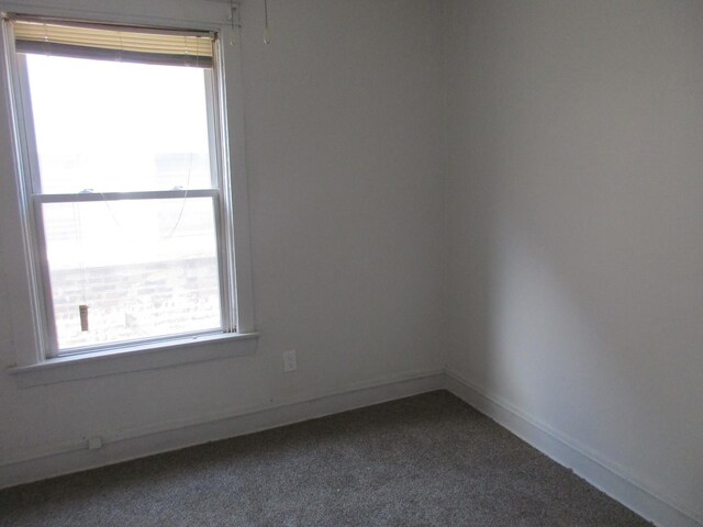 6419 S Maplewood Ave, Chicago, IL 60629 - photo 10