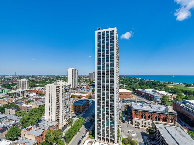 1455 N Sandburg Ter Unit 2901B, Chicago, IL 60610 - photo 27