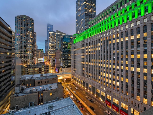 333 W Hubbard St Unit 1006, Chicago, IL 60654 - city view