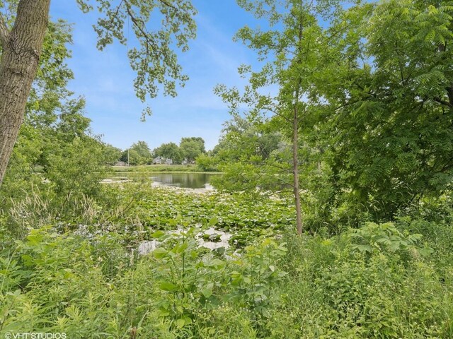 880 Plainfield Naperville Rd, Naperville, IL 60540 - photo 20
