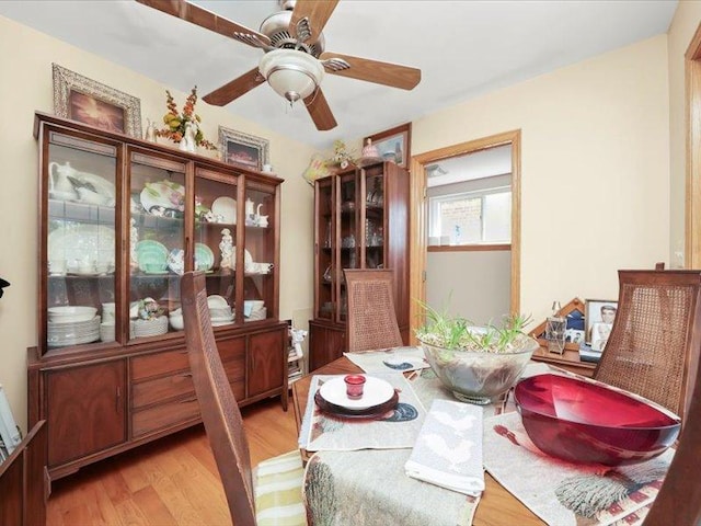 4820 S Lotus Ave, Chicago, IL 60638 - photo 13