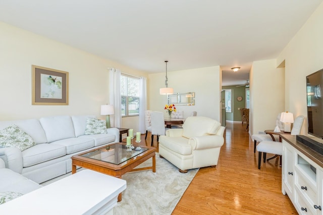 11397 Stonewater Xing, Huntley, IL 60142 - living area featuring light wood-style flooring