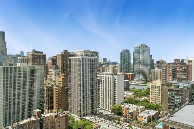 1300 N Astor St Unit 26C, Chicago, IL 60610 - skyline view
