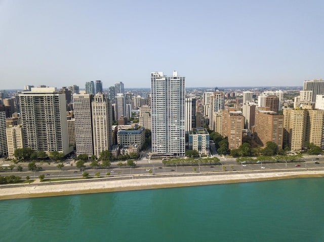 1300 N Astor St Unit 26C, Chicago, IL 60610 - city view featuring a large body of water