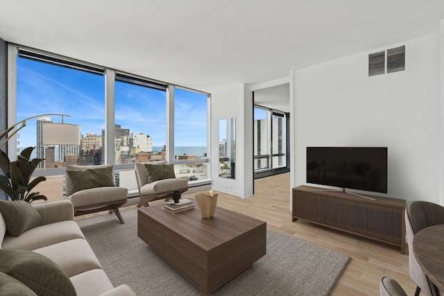 1300 N Astor St Unit 26C, Chicago, IL 60610 - living room featuring light wood-style flooring and expansive windows