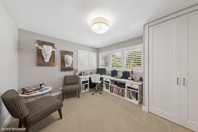 19 N Stough St, Hinsdale, IL 60521 - office featuring carpet and baseboards