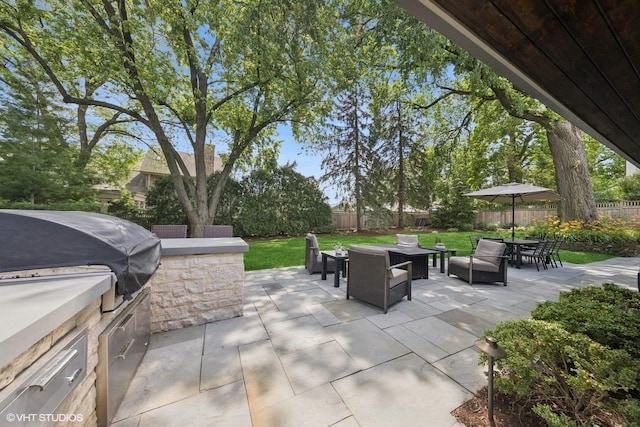 19 N Stough St, Hinsdale, IL 60521 - fenced backyard featuring area for grilling, a patio, and outdoor dining area