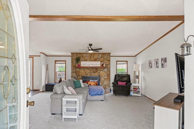 510 W Rhodes St, Thomasboro, IL 61878 - carpeted living room featuring ornamental molding, plenty of natural light, ceiling fan, and a fireplace