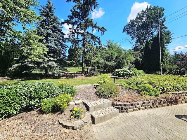 28W650 High Lake Rd, West Chicago, IL 60185 - photo 47